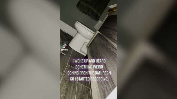 Image for This Week's Most Viral News: Halloween Edition