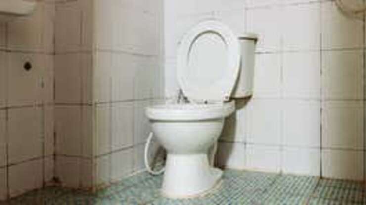 Image for Apartment Listing Counts Toilet As Storage