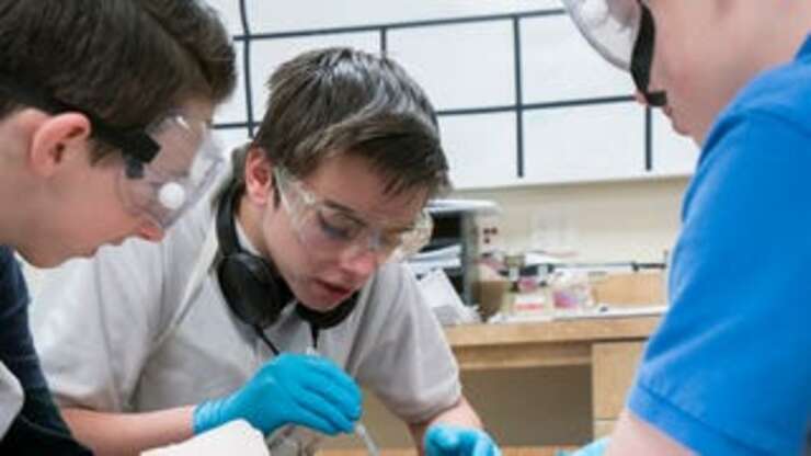 Image for 9th-Grade Biology Class Teaches Students How To Mutilate Pig Carcasses