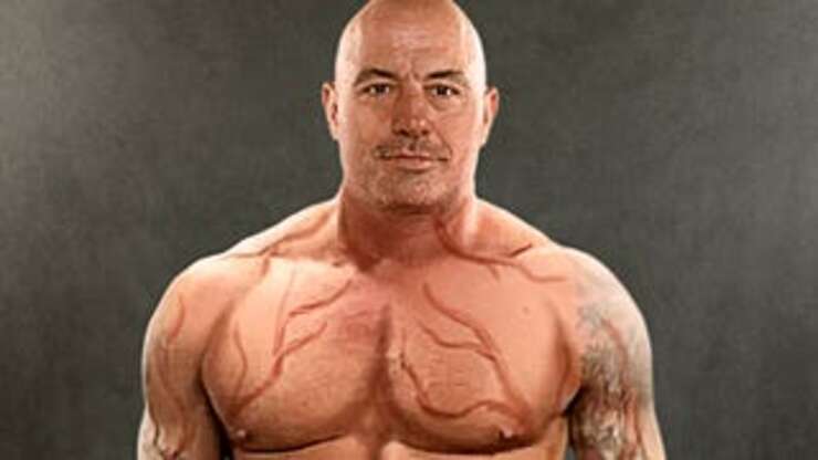 Image for Joe Rogan Stands Nude In Spraying Booth While Veins Airbrushed On Ahead Of Show