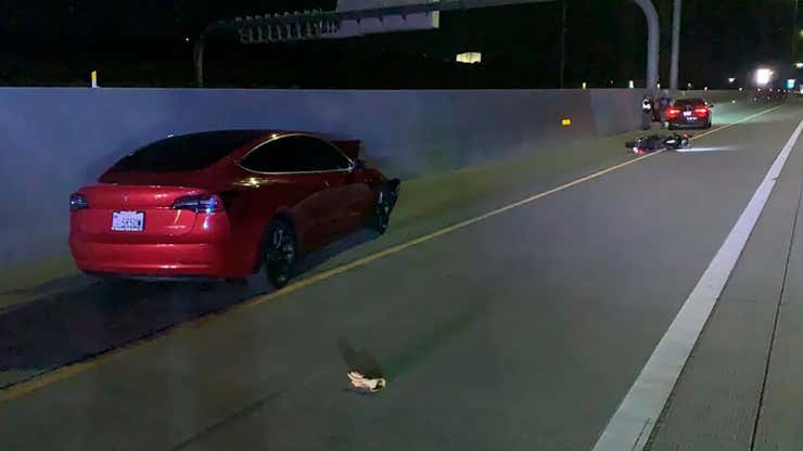 Image for Tesla Driver Charged With Killing Motorcyclist After Turning on Autopilot and Browsing His Phone