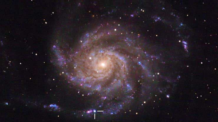 Image for Los astrónomos observan en tiempo real cómo una supernova épica potencialmente genera un agujero negro