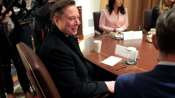 Image for Elon Musk says he'll do less DOGE — and Tesla stock pops 7%