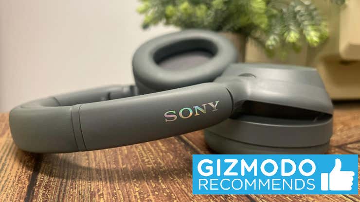 Image for Sony's New Concert Headphones Are All About That Bass