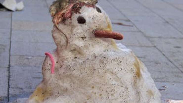 Image for City Kid Finds Perfect Flattened Rat For Snowman Toupee