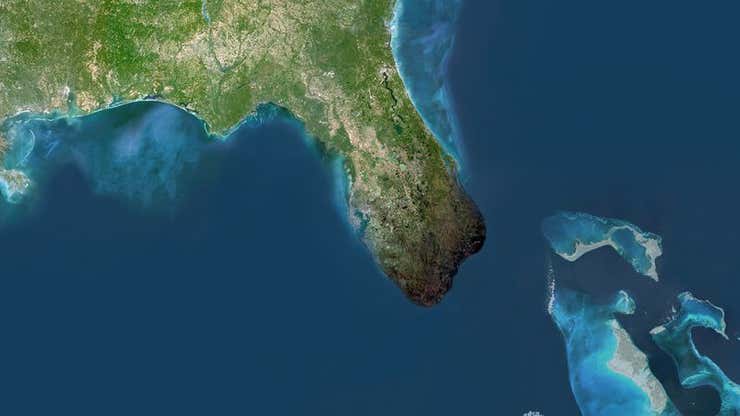 Image for Fireworks Accident Blows Off Tip Of Florida