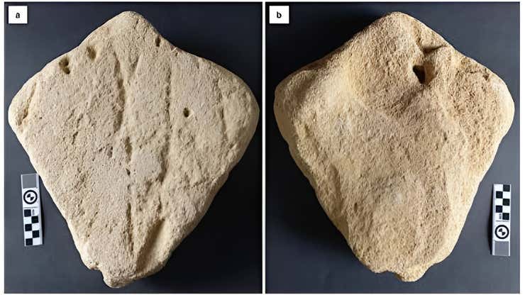 Image for Prehistoric Kite-Shaped Rock Could Represent Oldest-Known Animal Carving
