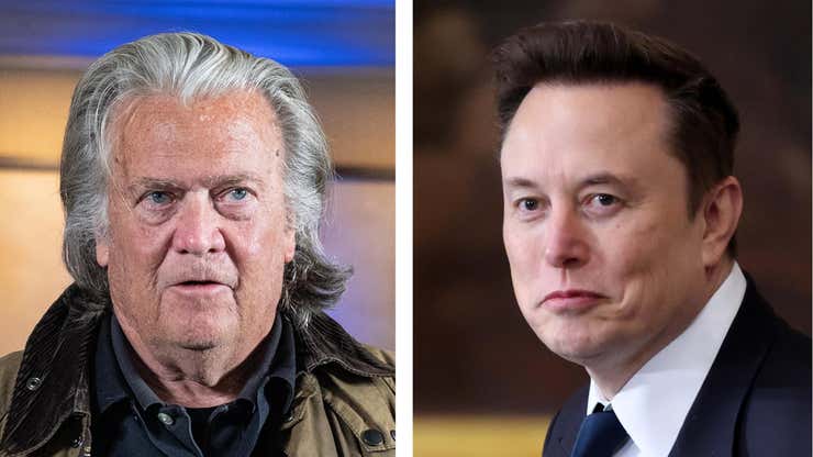 Image for MAGA Fight! Ex-Trump Adviser Steve Bannon Calls Elon Musk 'Racist' And Drags Him To Hell