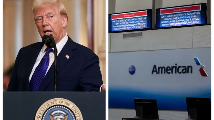 Image for Wait, What? Trump Blames DEI for DC Plane Crash