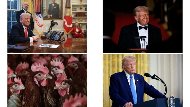 Image for Trump's trade war, 'gold' visas for the rich, and scrambling on egg prices: Politics news roundup