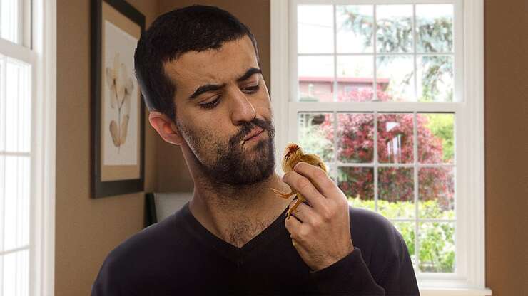 Image for Man Regrets Eating What He Thought Was A Peep
