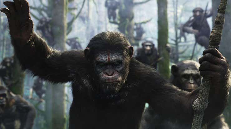 Image for It's a Planet of the Apes, and We're Just Living in It