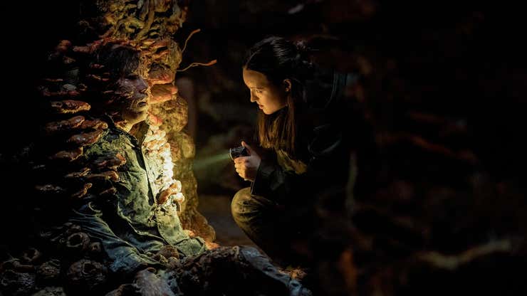 Image for The Last Of Us Season Two, Episode Five Recap: Seeing Red