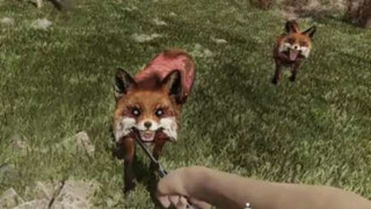 Image for Fallout London's First Big Update Finally Nerfs Its Deadliest Enemy: Foxes