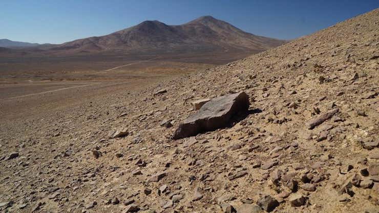 Image for Scientists Discover Mysterious Ecosystem Beneath Earth's Driest Desert
