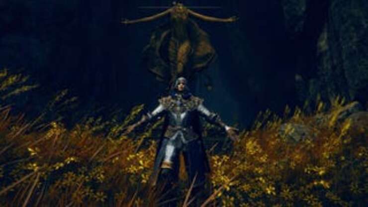 Image for My Elden Ring: Shadow Of The Erdtree Player Summons, Ranked