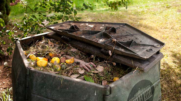 Image for White House Gardener Finds Rotting Biden In Compost Bin