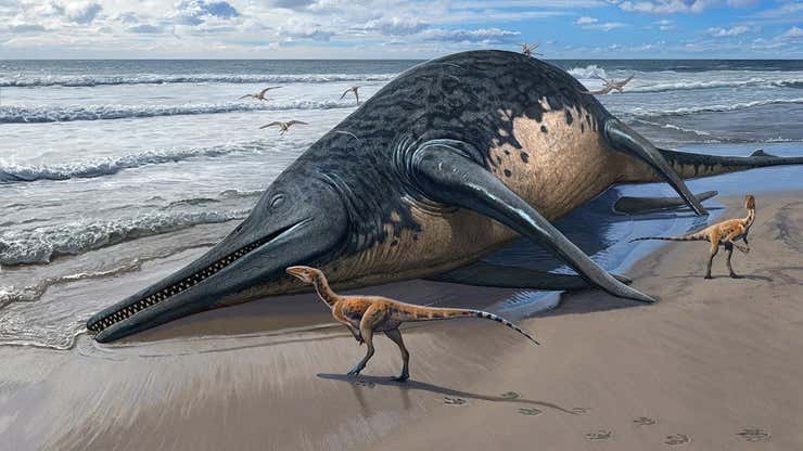 Image for Jawbone in England Appears to Belong to Largest Marine Reptile Ever Known