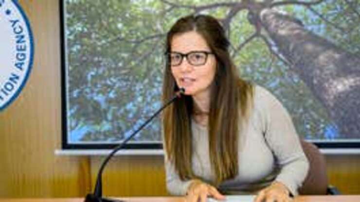 Image for EPA Sets Cap On How Much Carbon Trees Can Absorb