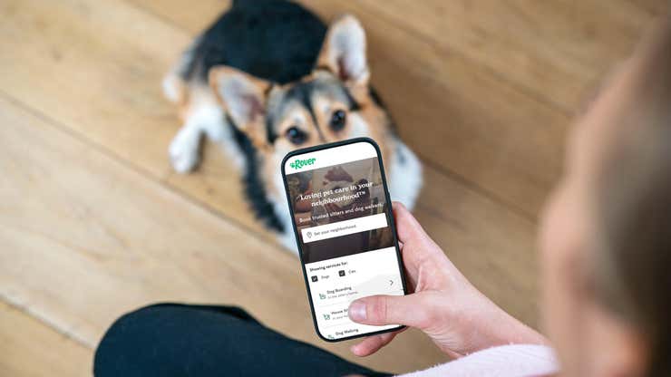 Image for 'Please Help Us Get Justice for Our Dogs': 10 Horror Stories About the Dog-Sitting App Rover