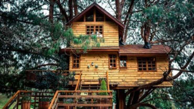 Image for Wealthy Dad Surprises Child With Tree House He Can Airbnb For Passive Income