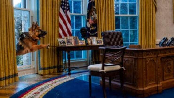 Image for White House Staff Panicking After Unstoppable Commander Biden Bursts Through Oval Office Window