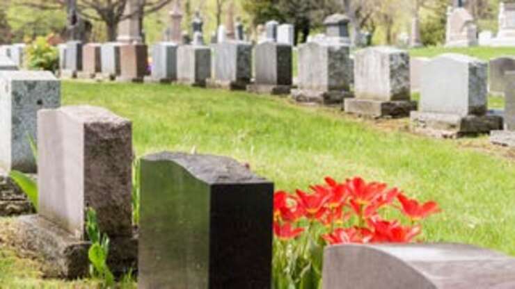 Image for Report: Free Dead Bodies Buried Underground Seemingly For The Taking