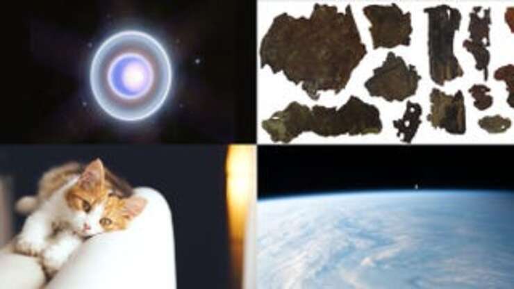 Image for Rings Around Uranus, Leather Made of Human Skin, and More Top Science News of the Week
