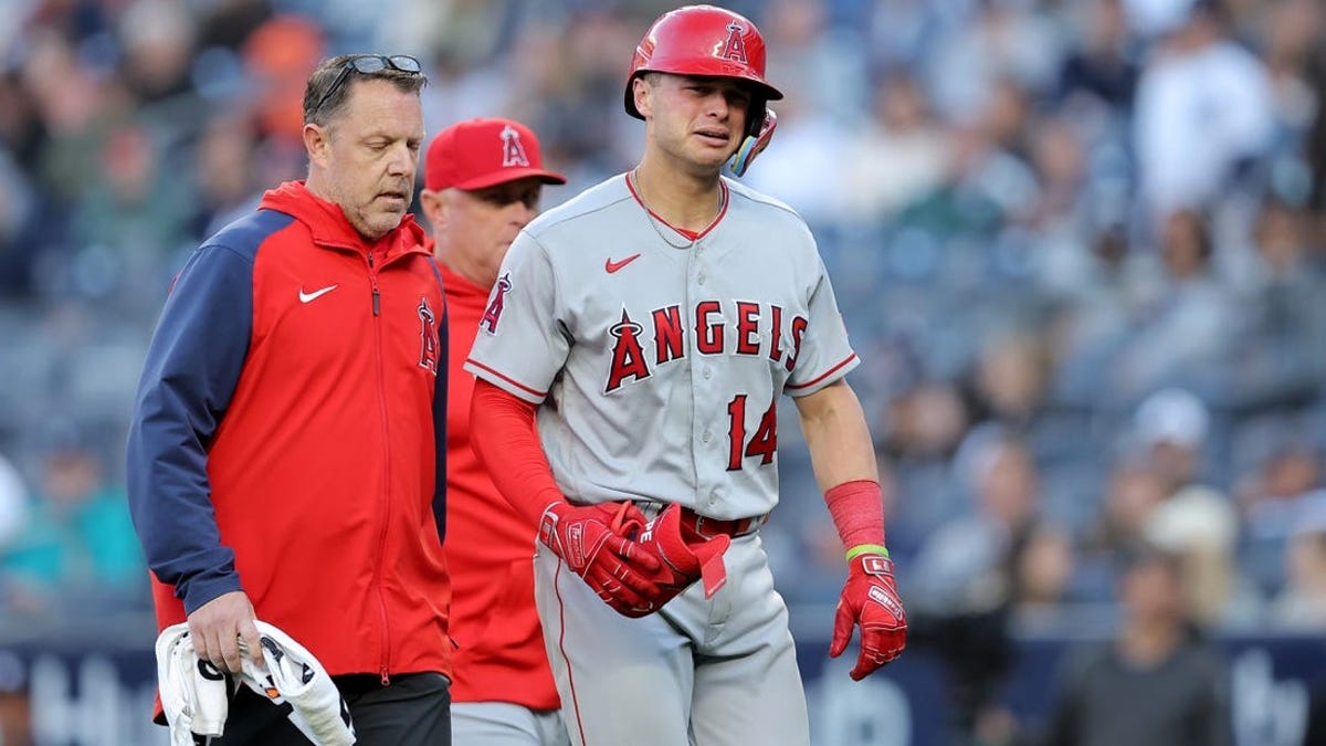 Logan O'Hoppe injury update: Angels C to miss 4-6 months with torn labrum -  DraftKings Network