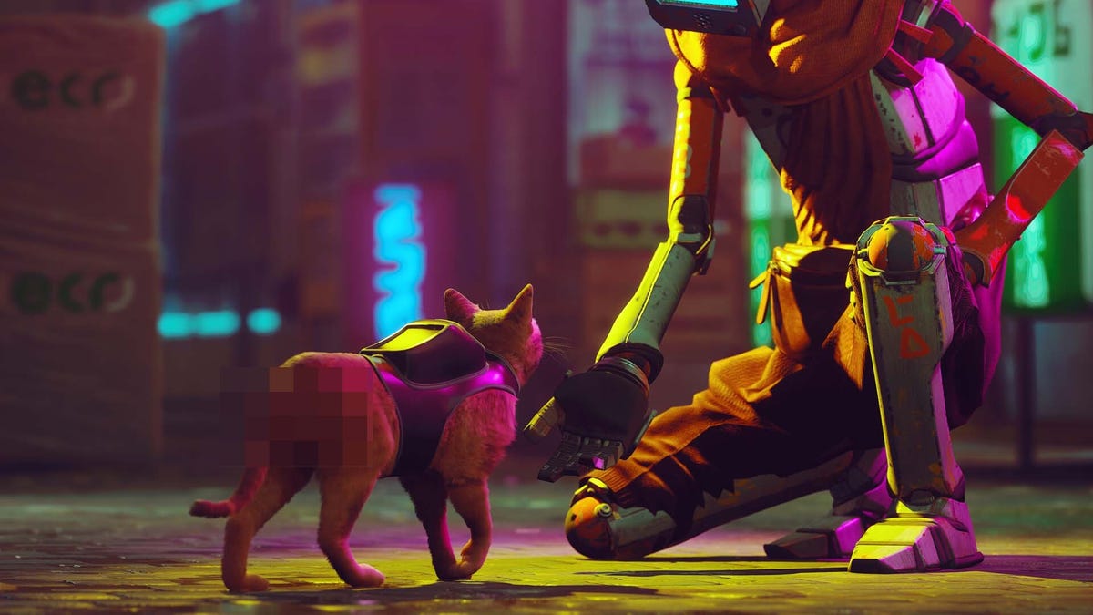 Cat game Stray gets a summer release date