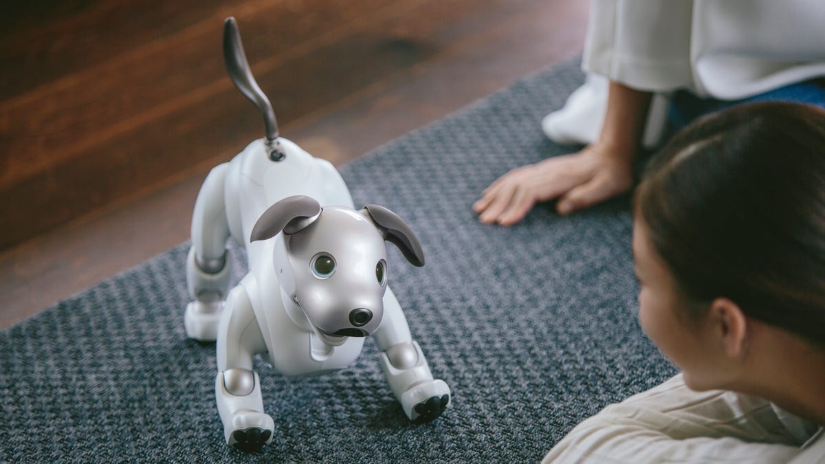 Sony's robot dog Aibo is headed to the US for a cool $2,899 - The