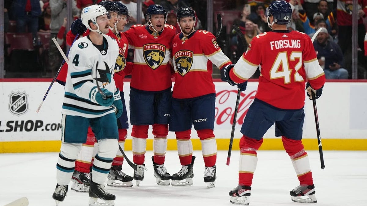 Anthony Stolarz, Backstops Panthers To Win Over Sharks