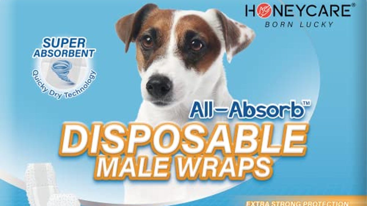 All-Absorb A26 Male Dog Wrap, Now 10% Off
