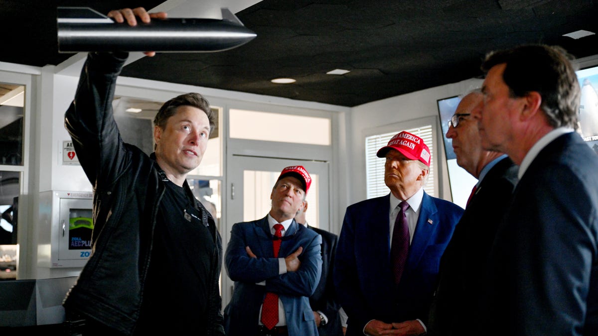 Cathie Wood on what Trump and Elon Musk's feud reveals