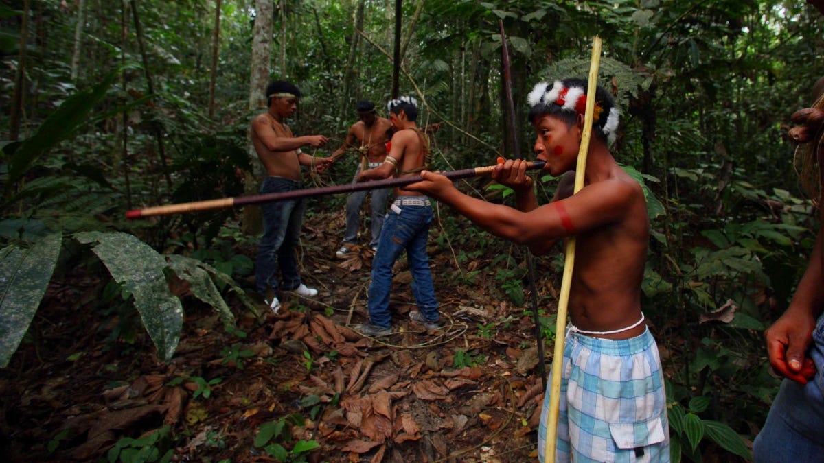 Ecuador abandons rain forest protection to pay its China debts