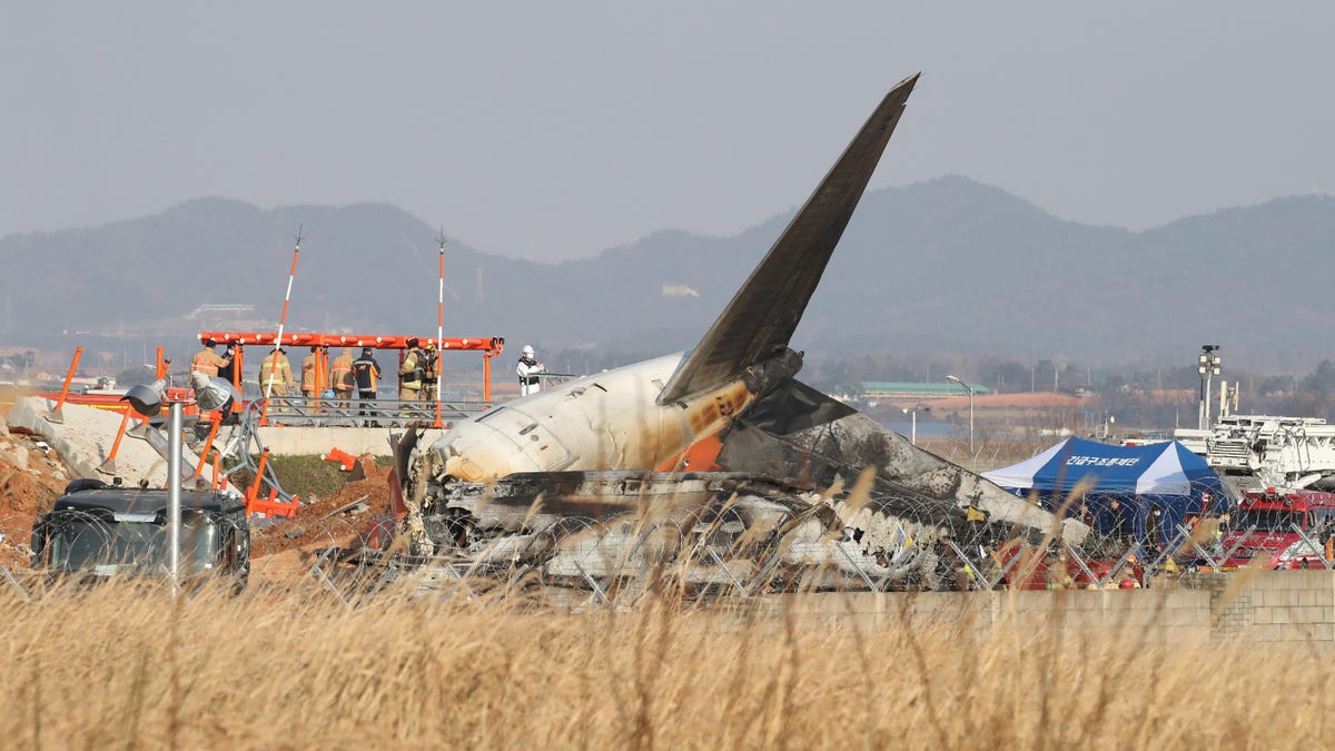 South Korea's Deadly Plane Crash Has Created More Questions Than Answers