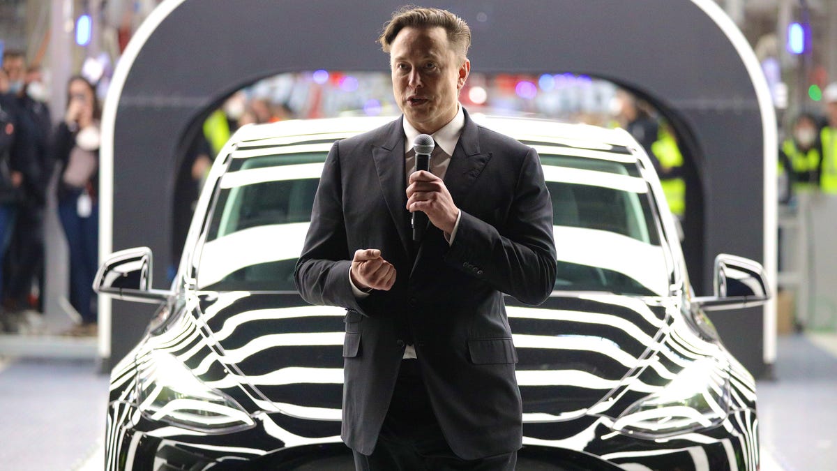 Elon Musk urges Tesla staffers to 'hang onto your stock' even though it has fallen 50%