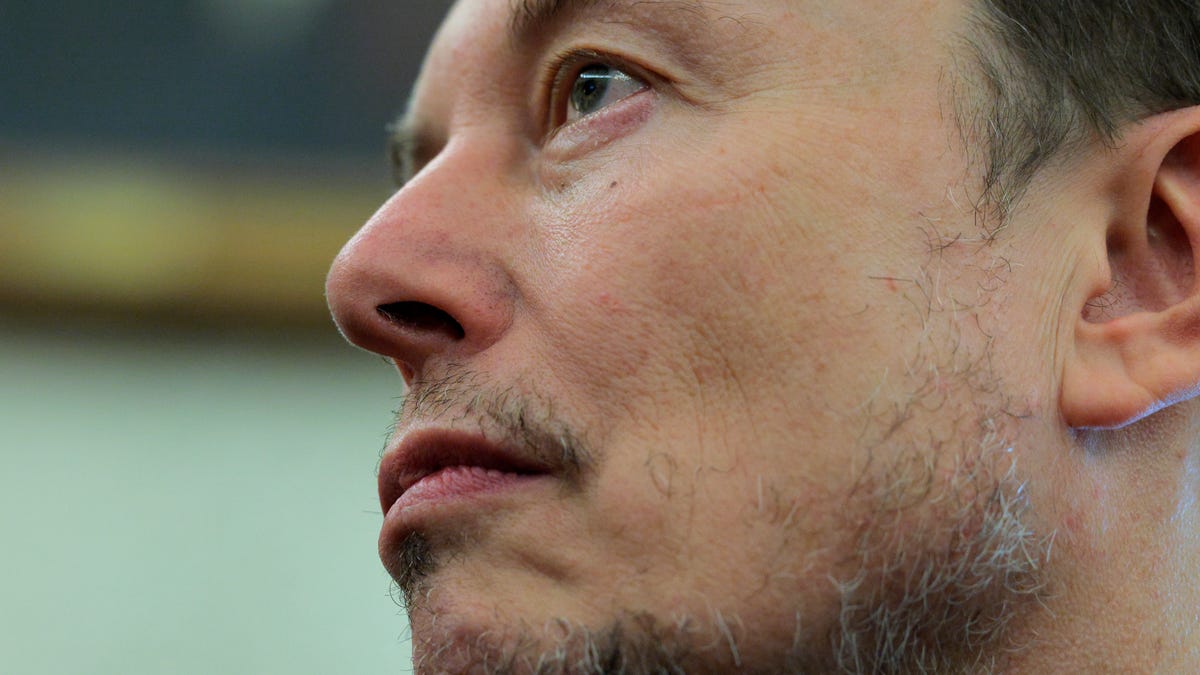 Tesla stock short-sellers raked in $4 billion as Elon Musk and Trump broke up