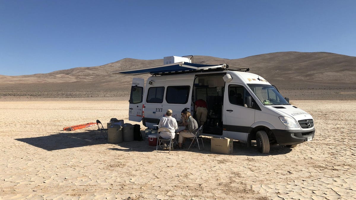 Misterioso ecosistema descubierto debajo del desierto de Atacama en Chile