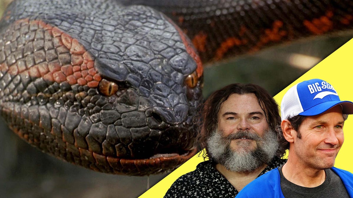 Jack Black And Paul Rudd's Anaconda Reboot Sounds Bad