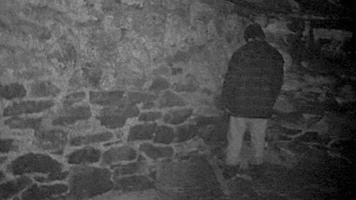 Blair Witch Project cast wants more cash from Lionsgate