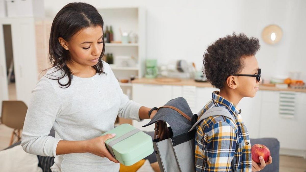 Opinion  Why Are You Still Packing Lunch for Your Kids? - The New York  Times