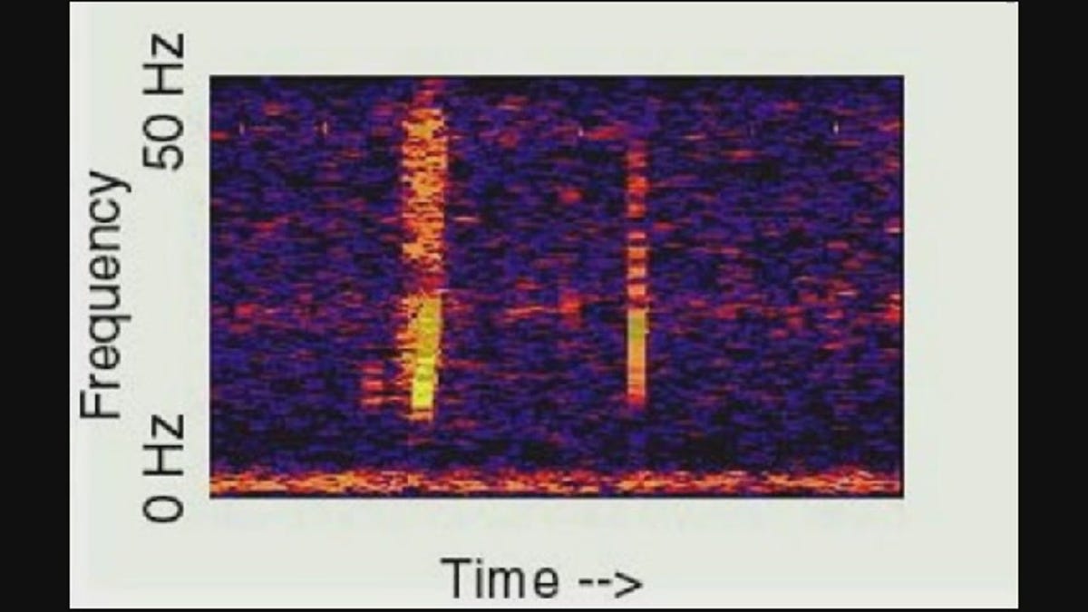 Meet The Bloop, The Mysterious Sound From The Bottom Of The Pacific Ocean