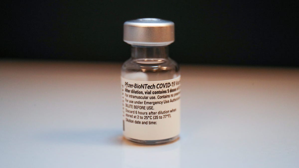 Will the Covid-19 vaccines end the pandemic?