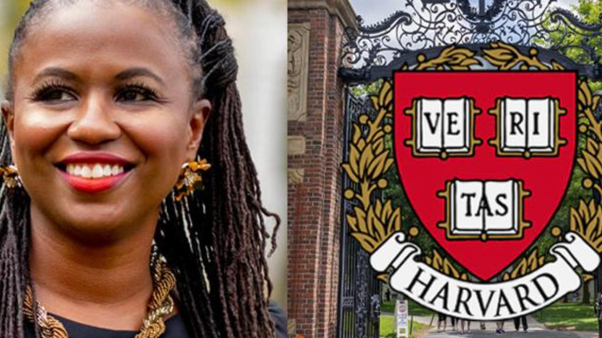 Wife of financier who called for Harvard head's exit faces plagiarism  allegations, Plagiarism