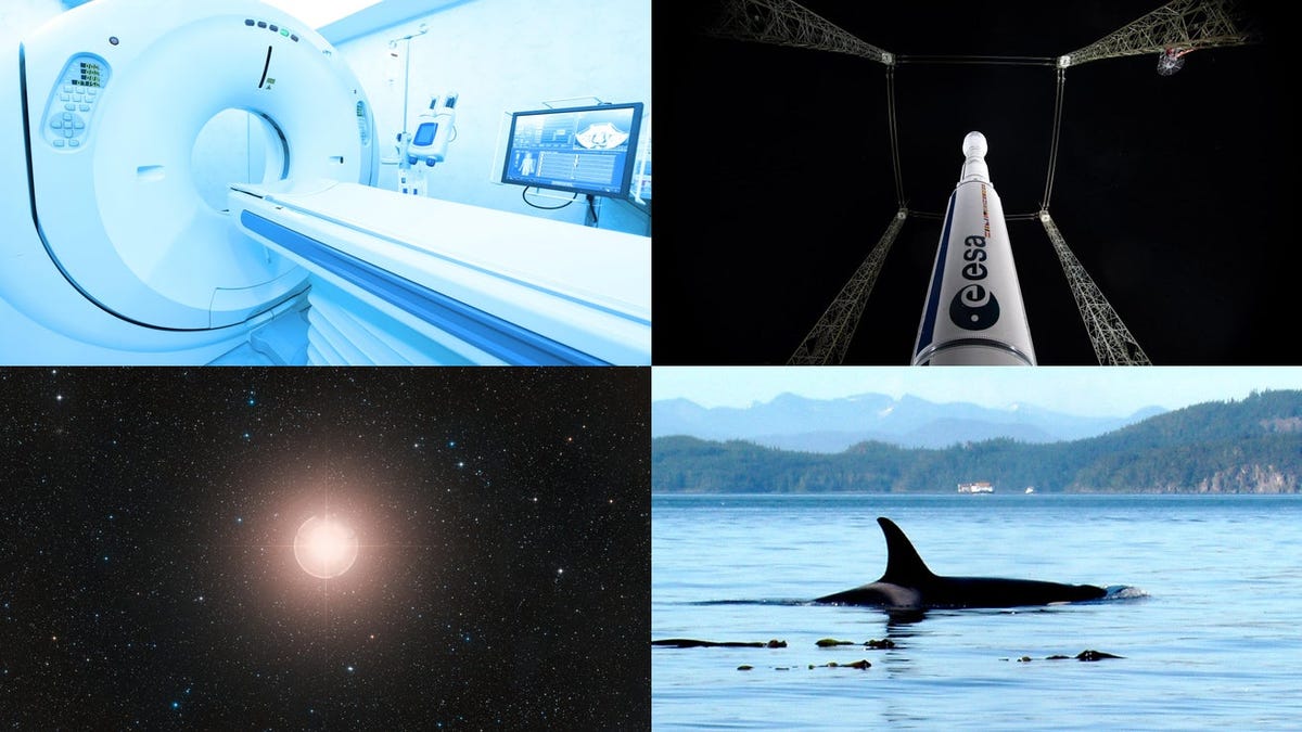 MRI Shoots Woman, a Betelgeuse Eclipse, and More Top Science News of the Week