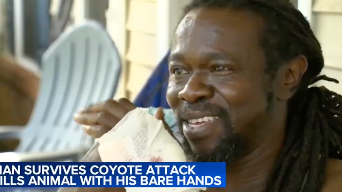 How NC Black Man Got Into a Battle With a Coyote and Won