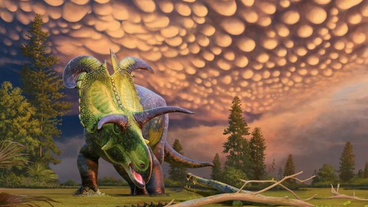 Meet 'Loki,' the Triceratops Relative With the Most Unbelievable Frill Horns