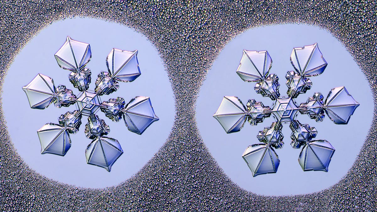 Watch FROZEN's Snow Scientist Create 'Designer' Snowflakes - Nerdist