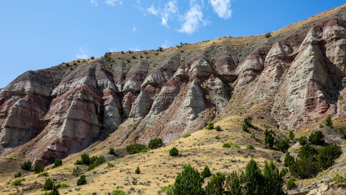 Los mejores lugares para ver fósiles en Estados Unidos